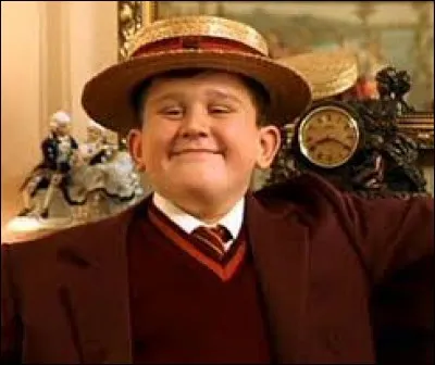 Combien de cadeaux reçoit Dudley Dursley pour son anniversaire avant d'aller au zoo ?