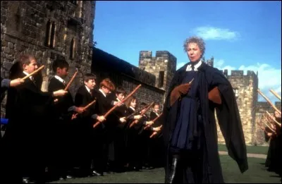 Qu'attend madame Bibine lors du premier match de quidditch dans lequel s'affrontent Serpentard et Gryffondor ?