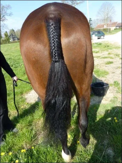 Pourquoi utilise-t-on cette natte ?