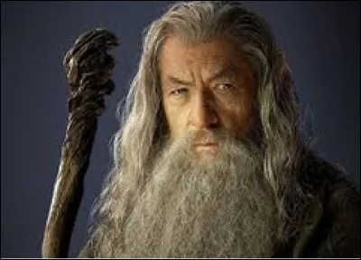 Quel surnom n'est pas donné à Gandalf ?