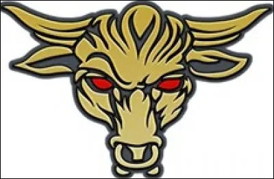 À qui appartient ce logo ?