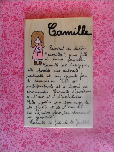 Camille - Qui les camillus assistaient-ils, lors des sacrifices ?