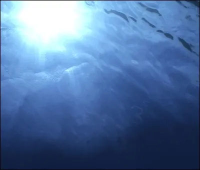 Marine - À quoi associe-t-on le nom "marina", en latin ?