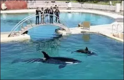 Keijo et Moana sont :