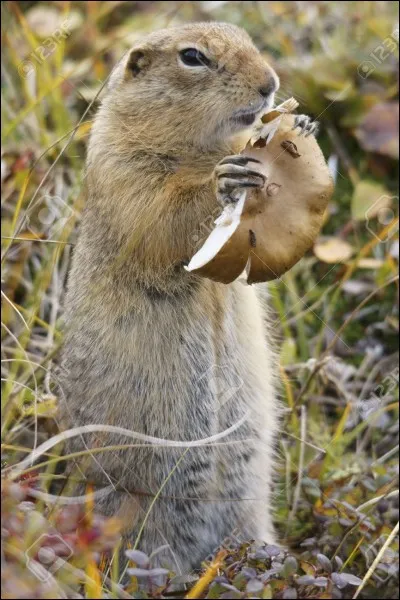 Otez les cinq premi&egrave;res lettres du nom de l'animal, et s'il n'en reste qu'un, ce sera celui-l&agrave; !