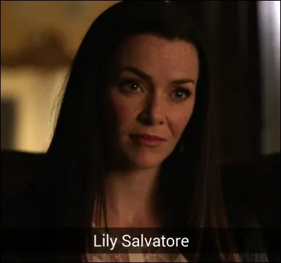 Qui joue le rôle de Lily ?