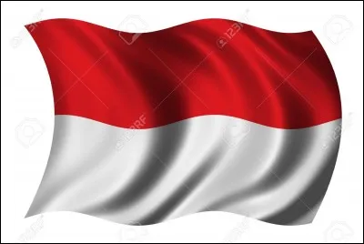 Lequel de ces pays a un drapeau comme sur la photo ?