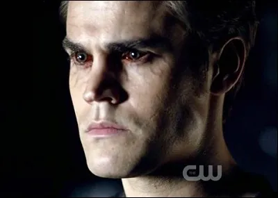 En quelle année Damon et Stefan sont-il devenus des vampires ?