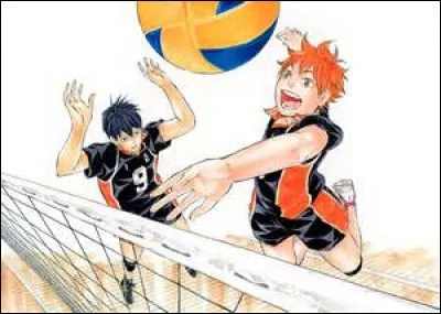 Dans une équipe de volley, quel numéro voudrais-tu porter ?