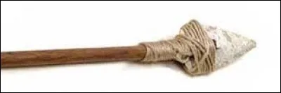 Vers -6500 le climat se radoucit et de nouvelles plantes apparaissent. Les céréales ont été découvertes au hasard des cueillettes. Les hommes ont ensuite appris à les cultiver. Puis ils se sont regroupés dans les villages et sont devenus sédentaires. Pour les aider dans ces nouvelles tâches, ils ont créé un nouvel outil :