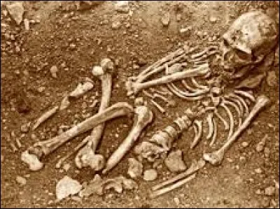 Depuis combien de temps environ, d'après les fossiles, l'homme existe-il ?