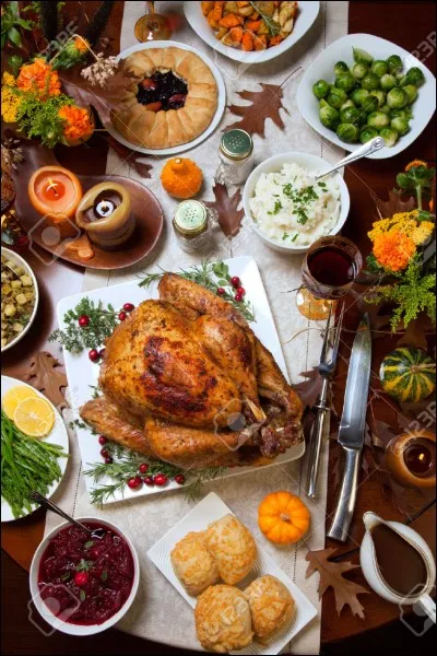 Quel est le plat pr&eacute;f&eacute;r&eacute; de Garfield ?