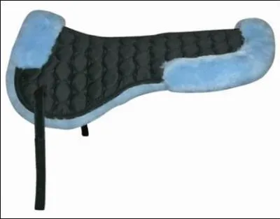 Quel est cet accessoire ?