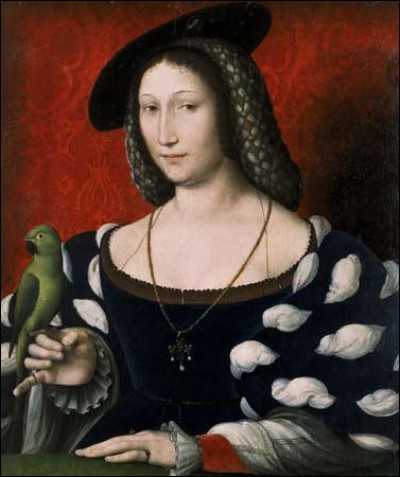 Soeur de François 1er, j'ai épousé en 1527 le roi de Navarre, Henri II d'Albret. Femme de lettres, je suis l'auteur du recueil de nouvelles "L'Heptaméron", je suis ...