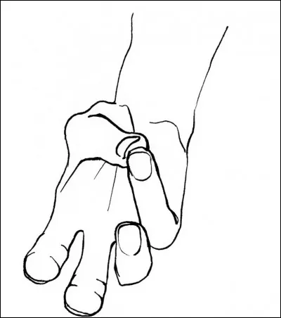 Regardez la photo : un singe peut-il réaliser une pince ?