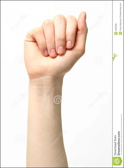 Si vous connaissez le langage des signes, quelle lettre voyez-vous ?