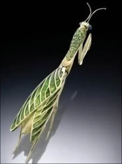 Quel nom porte ce beau spécimen d'insecte figé dans sa pieuse attitude ?
