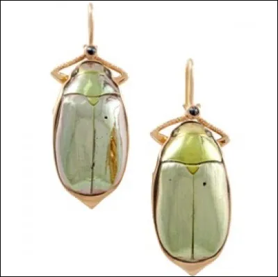 D'une belle brillance et d'un lustre à nul autre pareil, ils pareront magnifiquement vos oreilles.