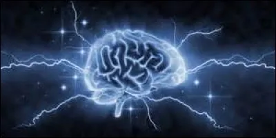 Quel est le poids moyen du cerveau humain ?