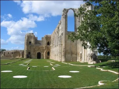 L'ancienne cathédrale Saint-Pierre de Maillezais a une histoire qui remonte au Xe siècle. Au XIe siècle l'île devient la place-forte des ducs d'Aquitaine. Où est-elle située ?