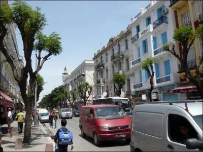 L'avenue de la libert o se ctoient une synagogue et une mosque, se situe 