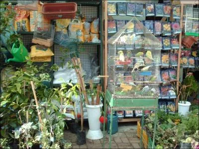 La ville franaise de Grasse est jumele avec la ville des roses