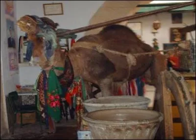 Ce chameau qui tourne dans un caf autour d'une noria se trouve 