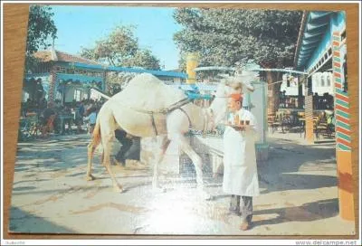 Cette image reprsente le caf