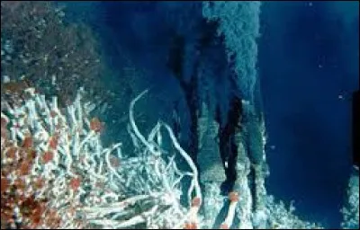 Qu'est-ce qu'un fumeur noir ?