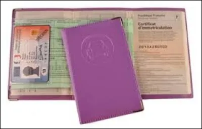 C'est ennuyeux de perdre son permit ou sa carte d'identitée... Pour l'éviter, je me fais faire des papiers bien condensés.