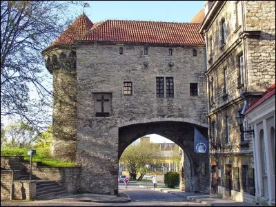 L'Estonie a pour drapeau...