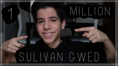 Pourquoi un panda moqueur ?