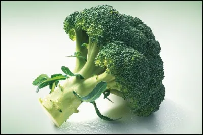 Aime-t-il les choux ?