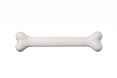 Combien d'os avons-nous dans le corps ?