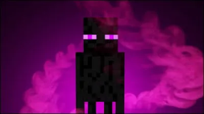Quelle est la capacité de l'EnderMan ?
