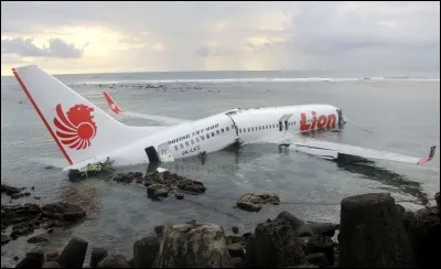 Pourquoi un avion se crashe-t-il généralement ?