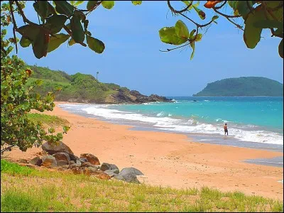 Quelle compagnie vole vers les Caraïbes ?