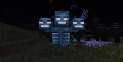 Quelle est la capacité du Wither ?