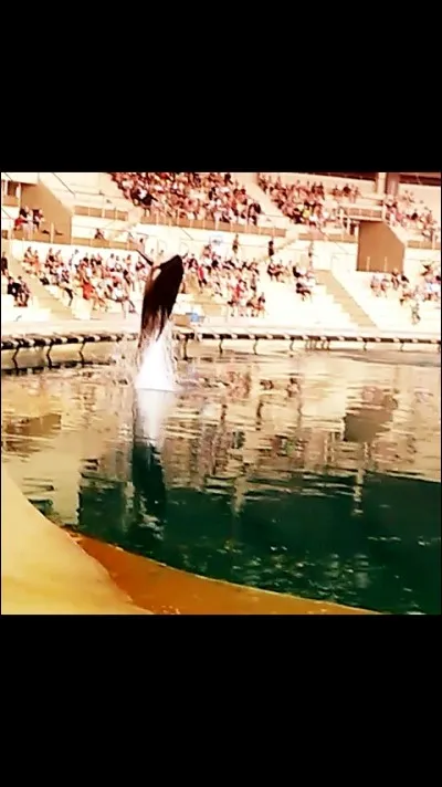 Keijo a-t-il un fr&egrave;re ou une s�ur ?