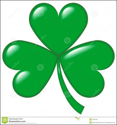 Qui compose l'équipe trèfle de la Don Quijotte Family ?