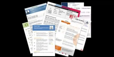 Qu'est-ce qu'un curriculum vitae ?