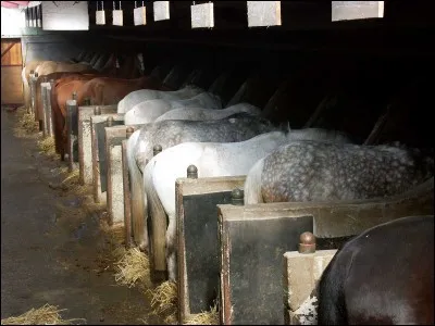 Quels sont ces bâtiments ?