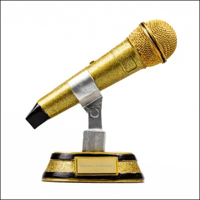 Quel est ton chanteur pr&eacute;f&eacute;r&eacute; ?