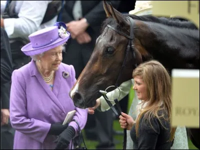 Shocking, la jument de la reine Elisabeth contr&ocirc;l&eacute;e positif, comment s'appelle-t-elle ?