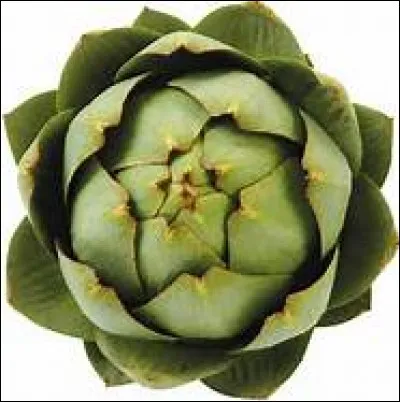 Que signifie "Avoir un cur d'artichaut" ?