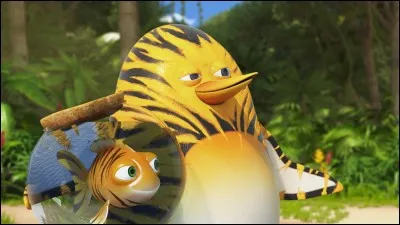 Comment se nomme le pingouin aux couleurs orangées ?