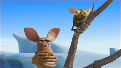 Comment s'appellent cette chauve-souris et ce tarsier ?