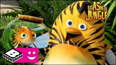 Comment s'appelle ce poisson ?