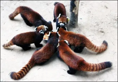 Sur quel continent êtes-vous ?