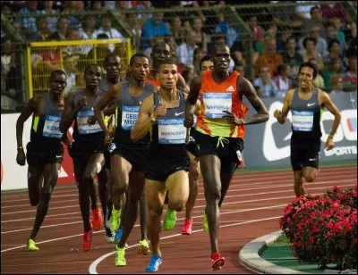 Comment s'appelle la célèbre compétition d'athlétisme se déroulant à Bruxelles ?